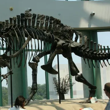 Acrocanthosaurus