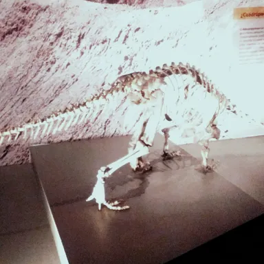 Adeopapposaurus