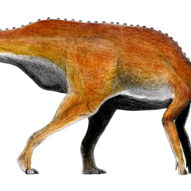 Adynomosaurus