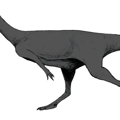 Afromimus