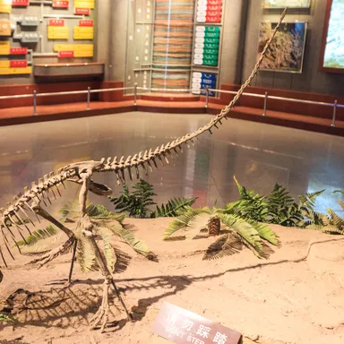 Agilisaurus