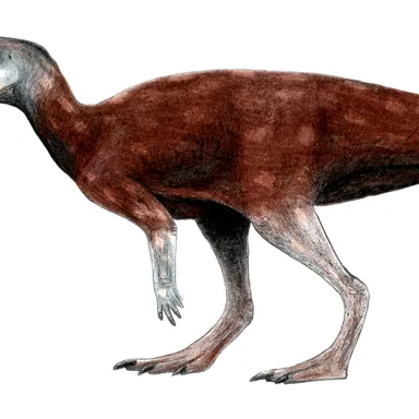 Albertadromeus