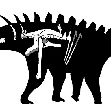 Alcovasaurus