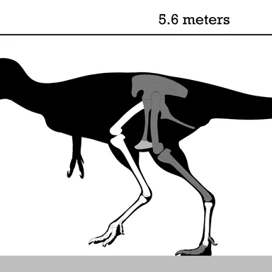 Alectrosaurus