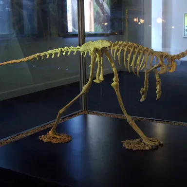 Alvarezsaurus