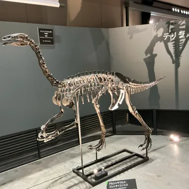 Alxasaurus