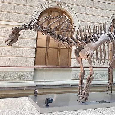 Amargasaurus