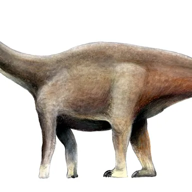 Amazonsaurus