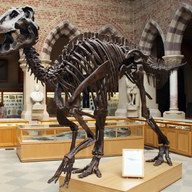 Anatotitan