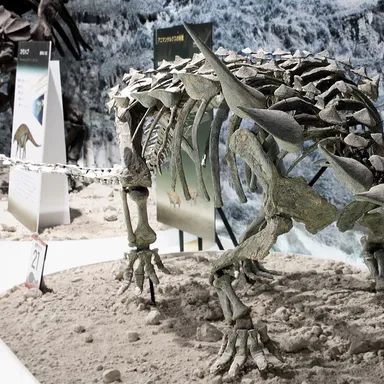 Animantarx