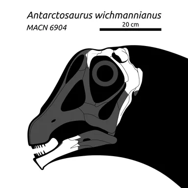 Antarctosaurus
