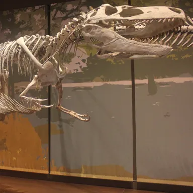 Appalachiosaurus