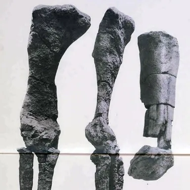 Argyrosaurus