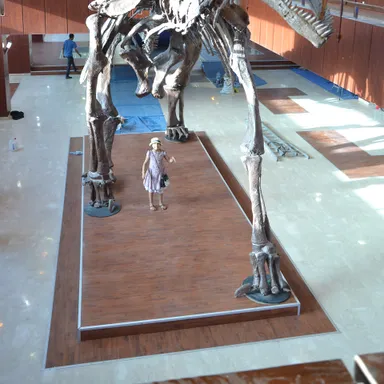 Atlasaurus
