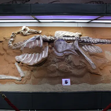 Bactrosaurus