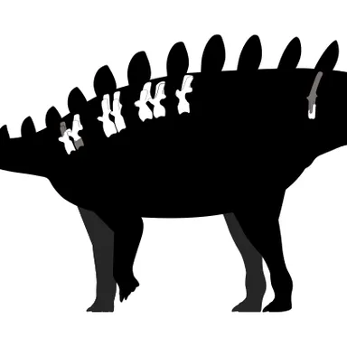 Baiyinosaurus