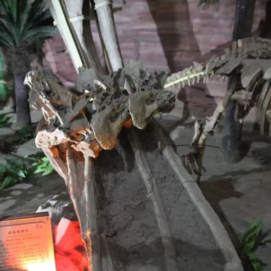 Baotianmansaurus