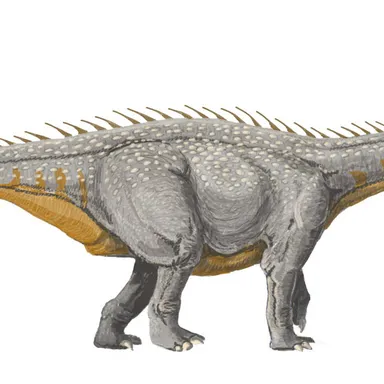Barapasaurus