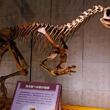 Baryonyx