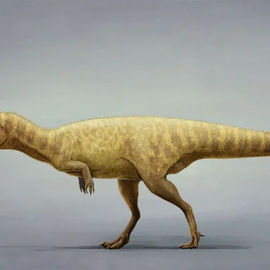 Berberosaurus