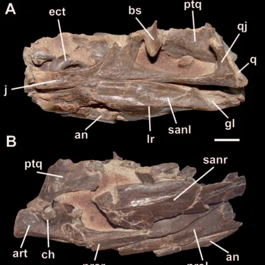 Bicentenaria