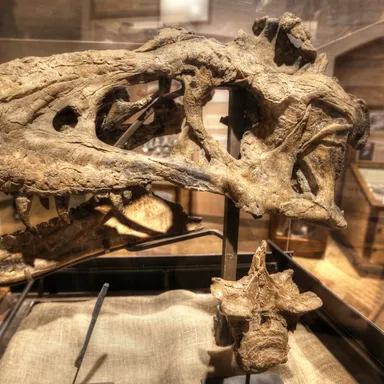 Bistahieversor