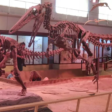 Bonatitan