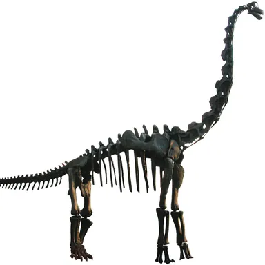 Brachiosaurus