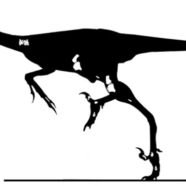 Byronosaurus