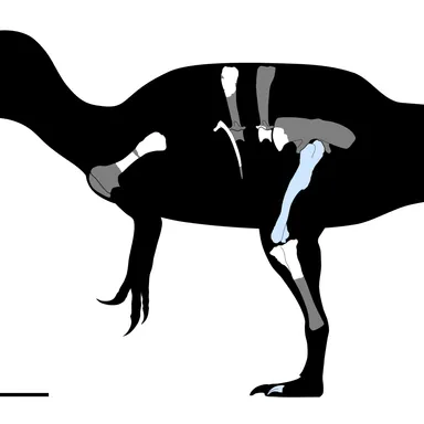 Camarillasaurus