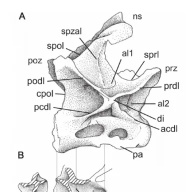 Cathartesaura
