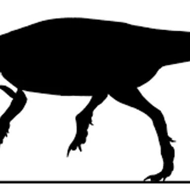 Chaoyangsaurus