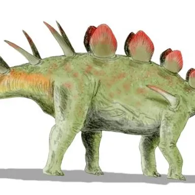 Chialingosaurus