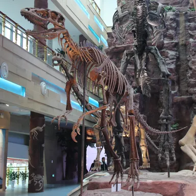 Chilantaisaurus