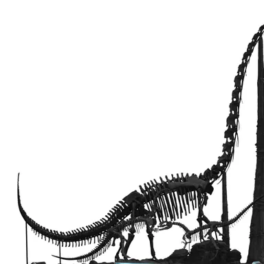 Chuanjiesaurus