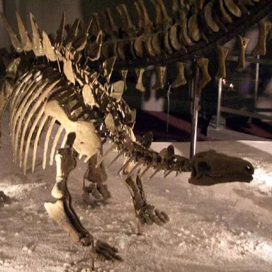 Chungkingosaurus