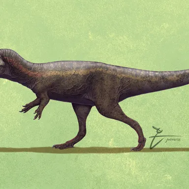 Lajasvenator