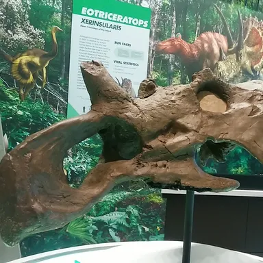 Coronosaurus