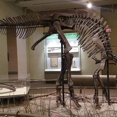 Corythosaurus