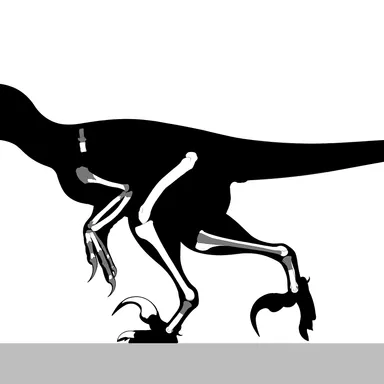 Dakotaraptor