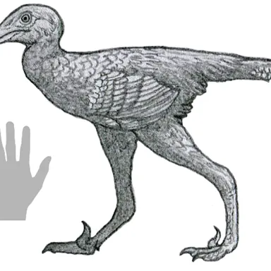 Daliansaurus