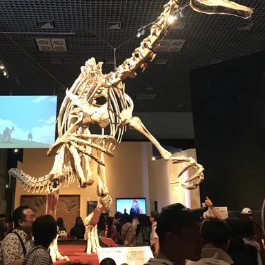 Deinocheirus