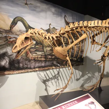 Deltadromeus