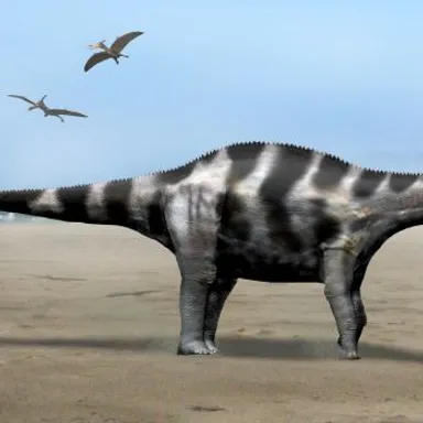 Demandasaurus
