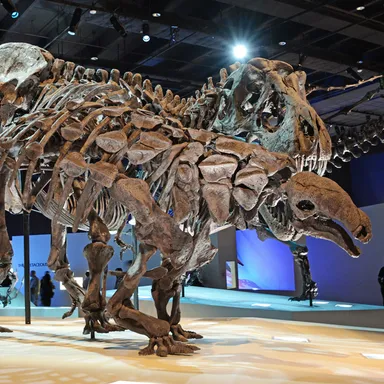 Denversaurus