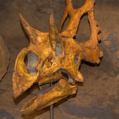 Diabloceratops