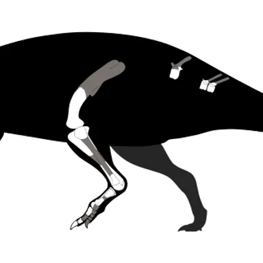 Draconyx