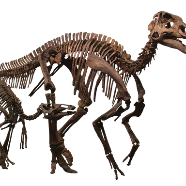 Edmontosaurus