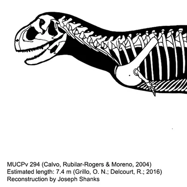 Ekrixinatosaurus