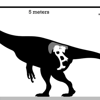 Enigmosaurus